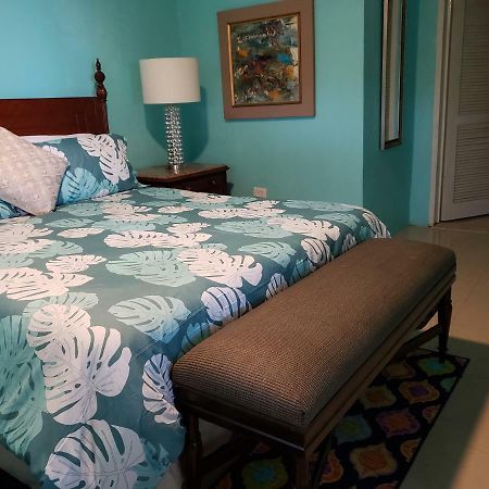 Villa Indigo Sunny 1Br Apartment In Private Gated Estate シャーロット・アマリー エクステリア 写真